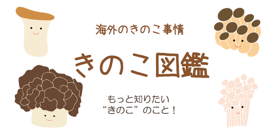 きのこ図鑑